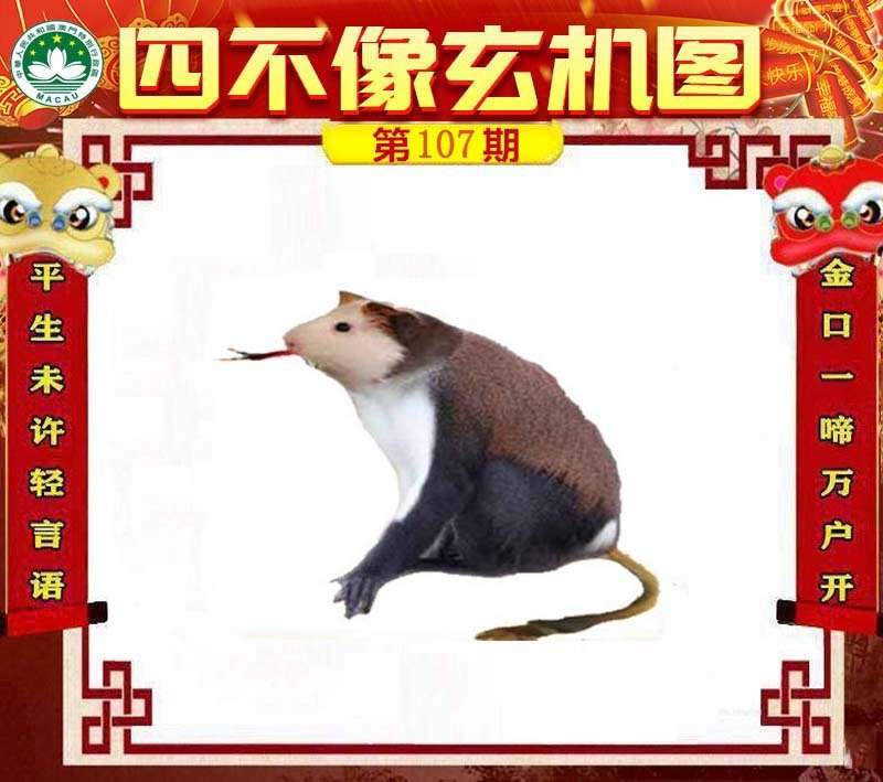 图片正在更新中……